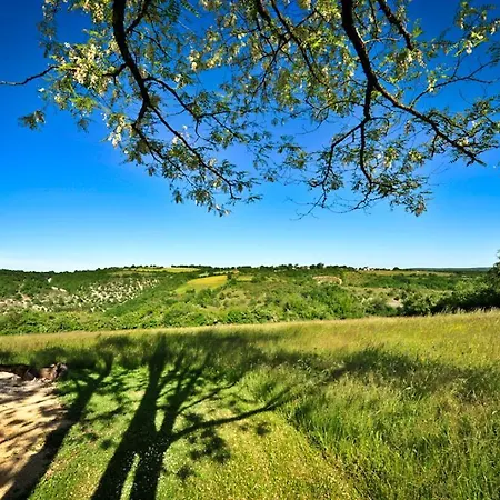 Domaine Lagardelle Rocamadour